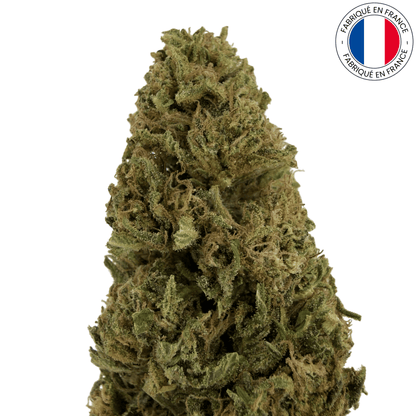 Blue Cheese - fleur de cbd bio (Amour de Chanvre)
