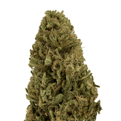 BLUE CHEESE - FLEUR DE CBD BIO