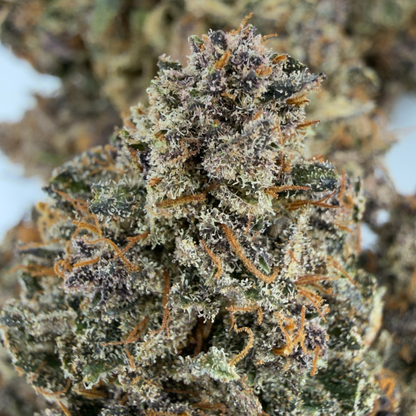 BLUE DORY - FLEUR DE CBD - INDOOR