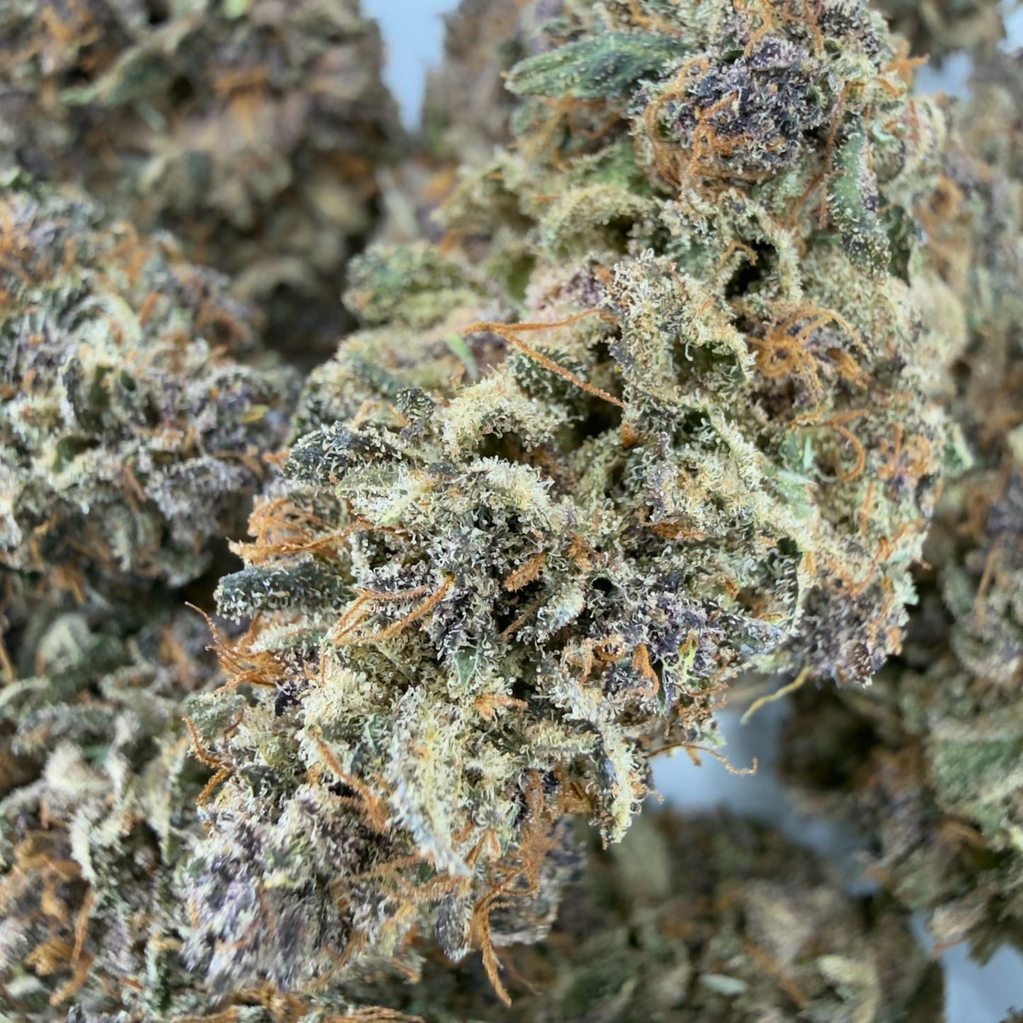 BLUE DORY - FLEUR DE CBD - INDOOR
