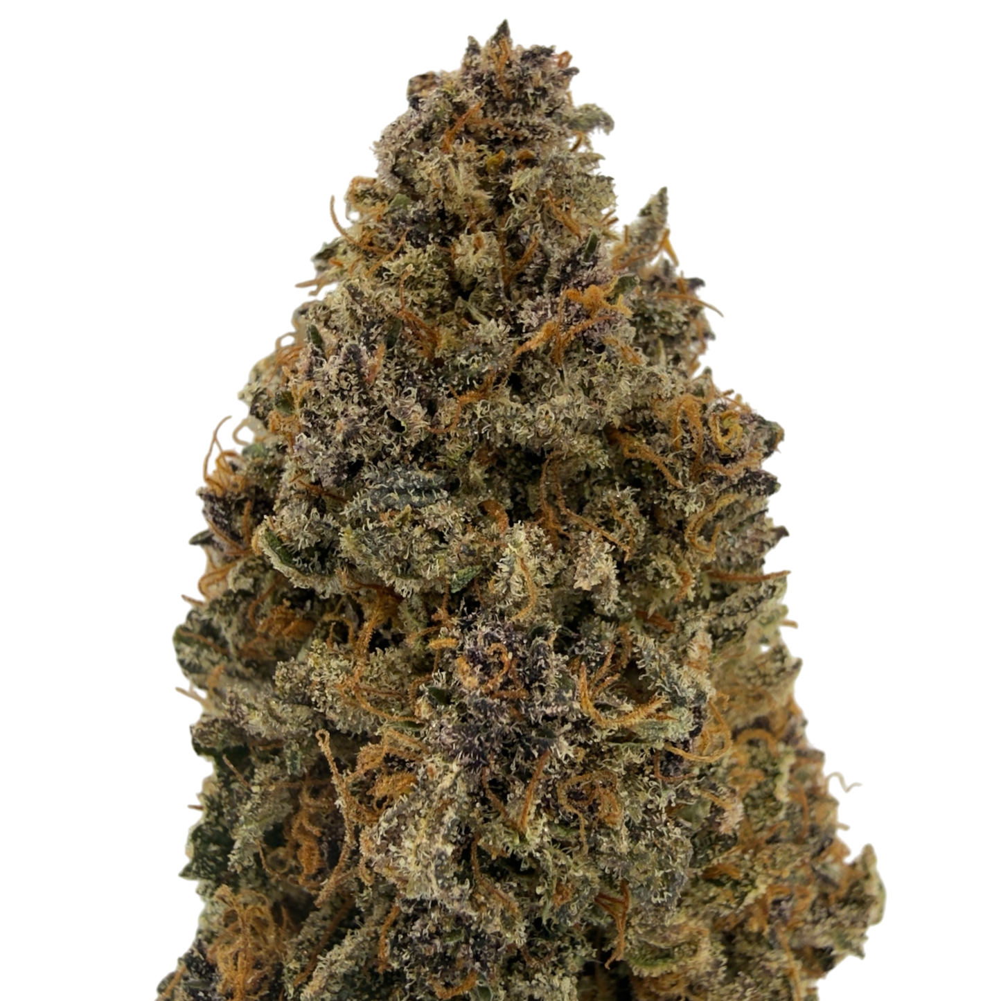 BLUE DORY - FLEUR DE CBD - INDOOR