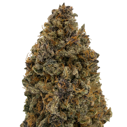 BLUE DORY - FLEUR DE CBD - INDOOR