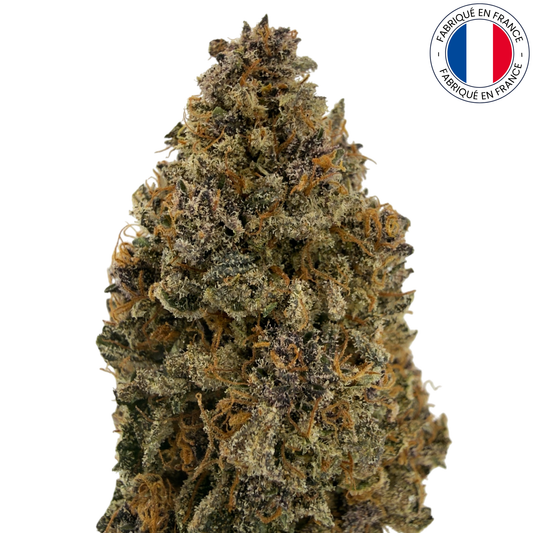 BLUE DORY - FLEUR DE CBD - INDOOR