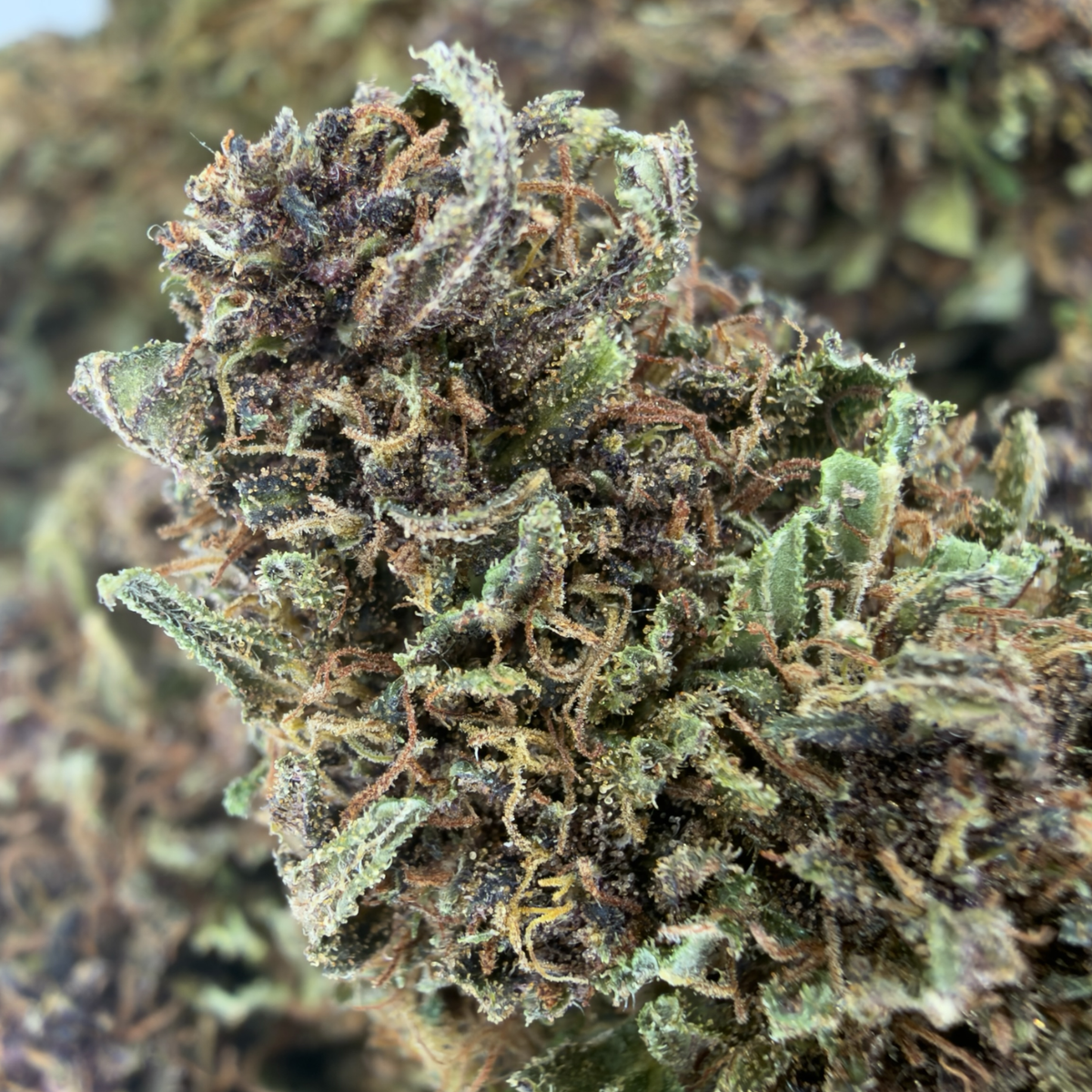 BLUE SKY - FLEUR DE CBD BIO