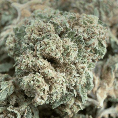 BUBBA KUSH - PETITE FLEUR DE CBD ORGANIQUE