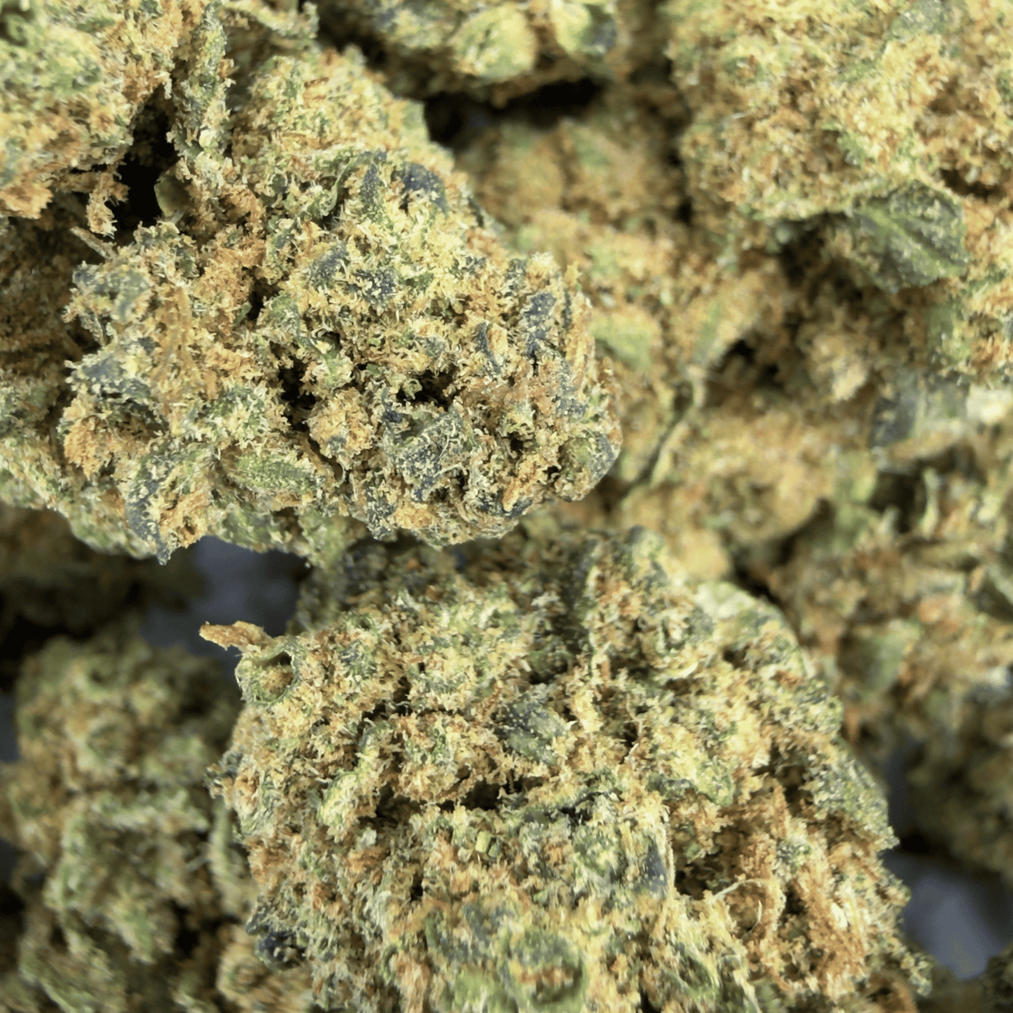 BUBBA KUSH - PETITE FLEUR DE CBD ORGANIQUE