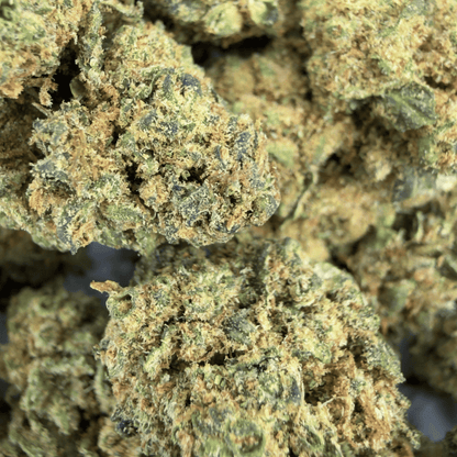 BUBBA KUSH - PETITE FLEUR DE CBD ORGANIQUE