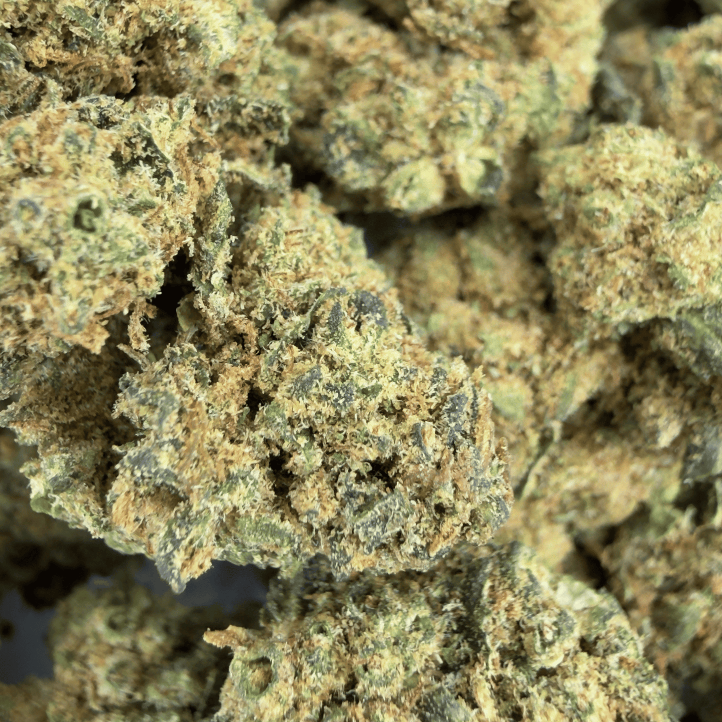 BUBBA KUSH - PETITE FLEUR DE CBD ORGANIQUE