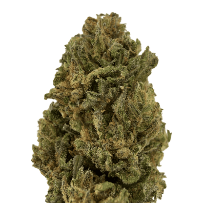 BUDDHA CHEESE - FLEUR DE CBD BIO