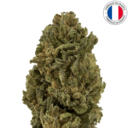 Buddha Cheese - fleur de cbd bio (Amour de Chanvre)