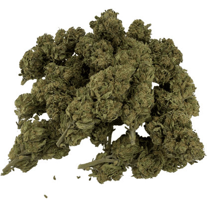 BUDDHA CHEESE - FLEUR DE CBD BIO