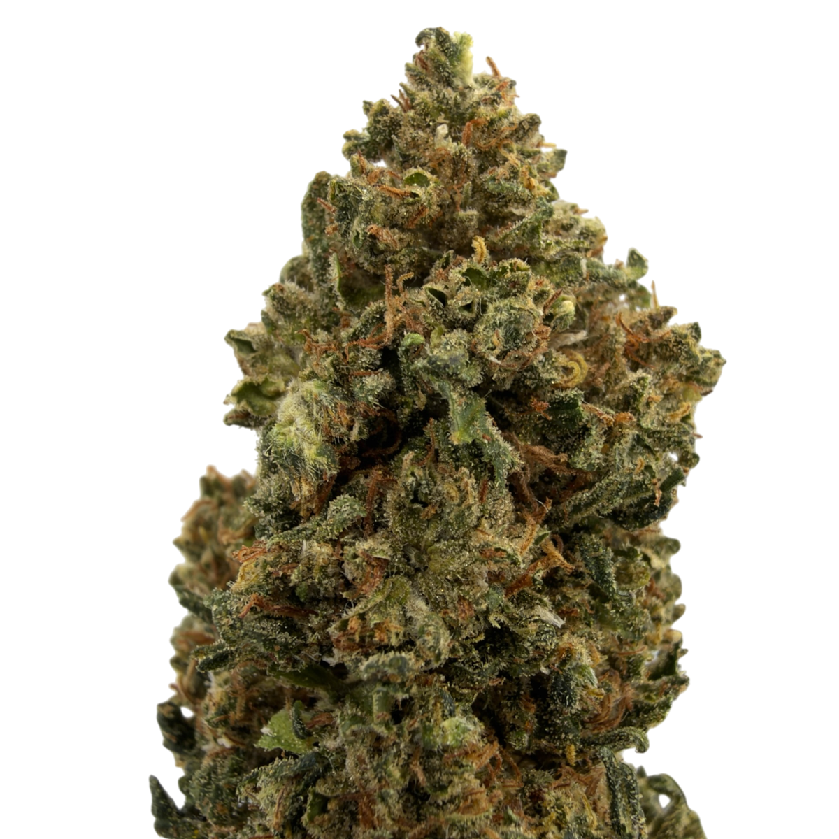 Buddha-Käse - Bio-CBD-Blüte