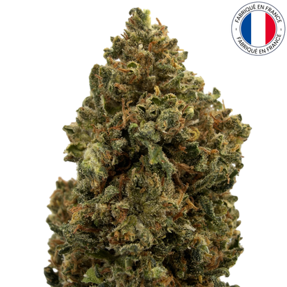Buddha Cheese - Fleur de CBD - Light Dep - (Amour de Chanvre)