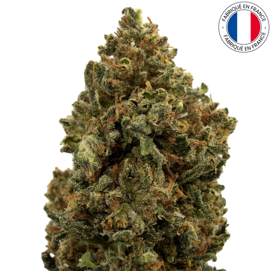 Buddha Cheese - Fleur de CBD - Light Dep - (Amour de Chanvre)