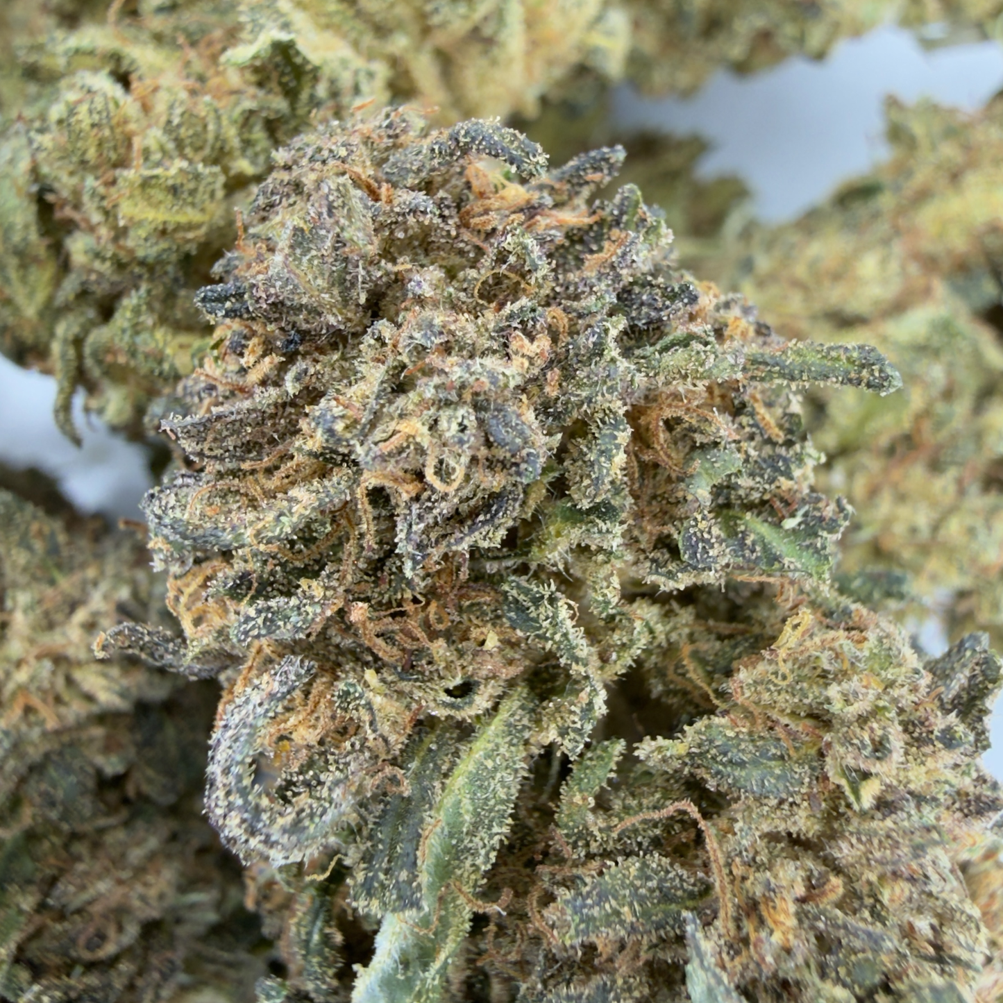 CHOCOLATE COVERED STRAWBERRY - FLEUR DE CBD ORGANIQUE