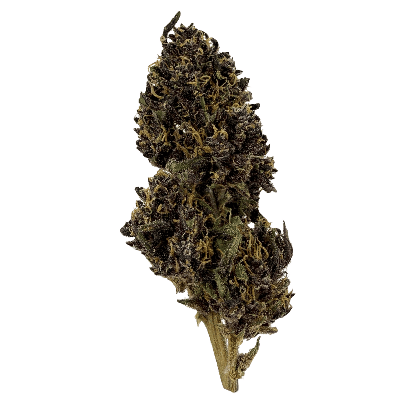 DEEP PURPLE - FLEUR DE CBD BIO