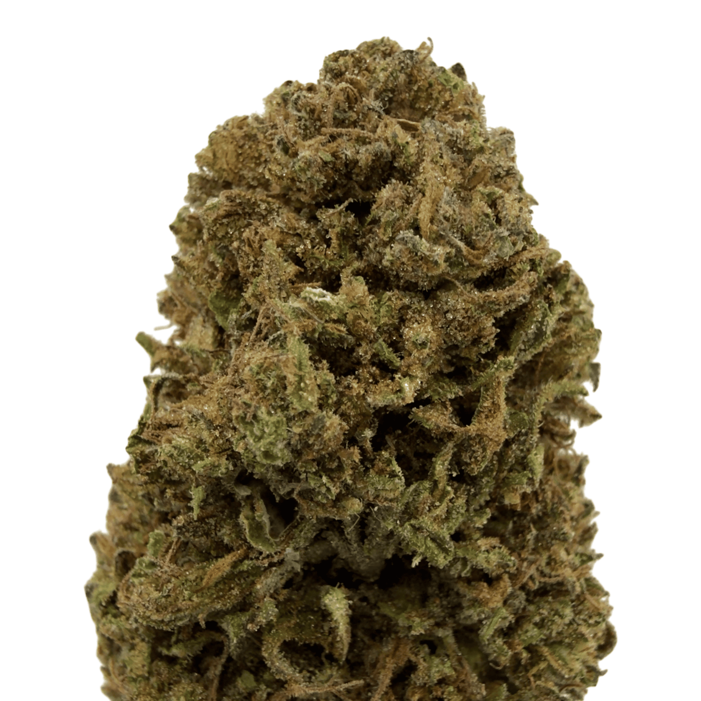 GELATO – BIO-CBD-BLÜTE