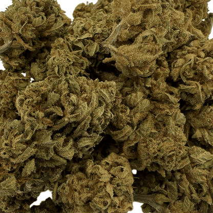 GELATO - FLEUR DE CBD BIO