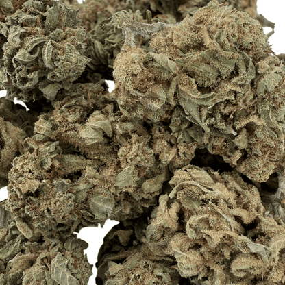 GELATO - FLEUR DE CBD BIO