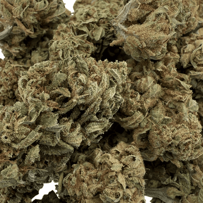 GELATO - FLEUR DE CBD BIO