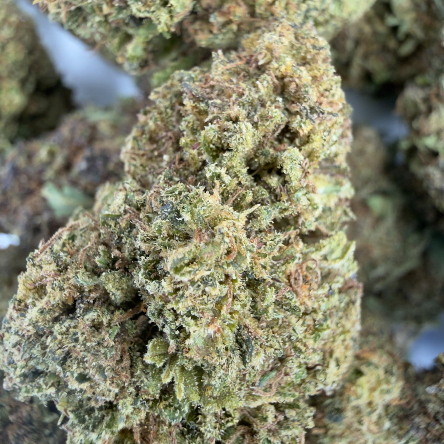 GELATO - FLEUR DE CBD BIO
