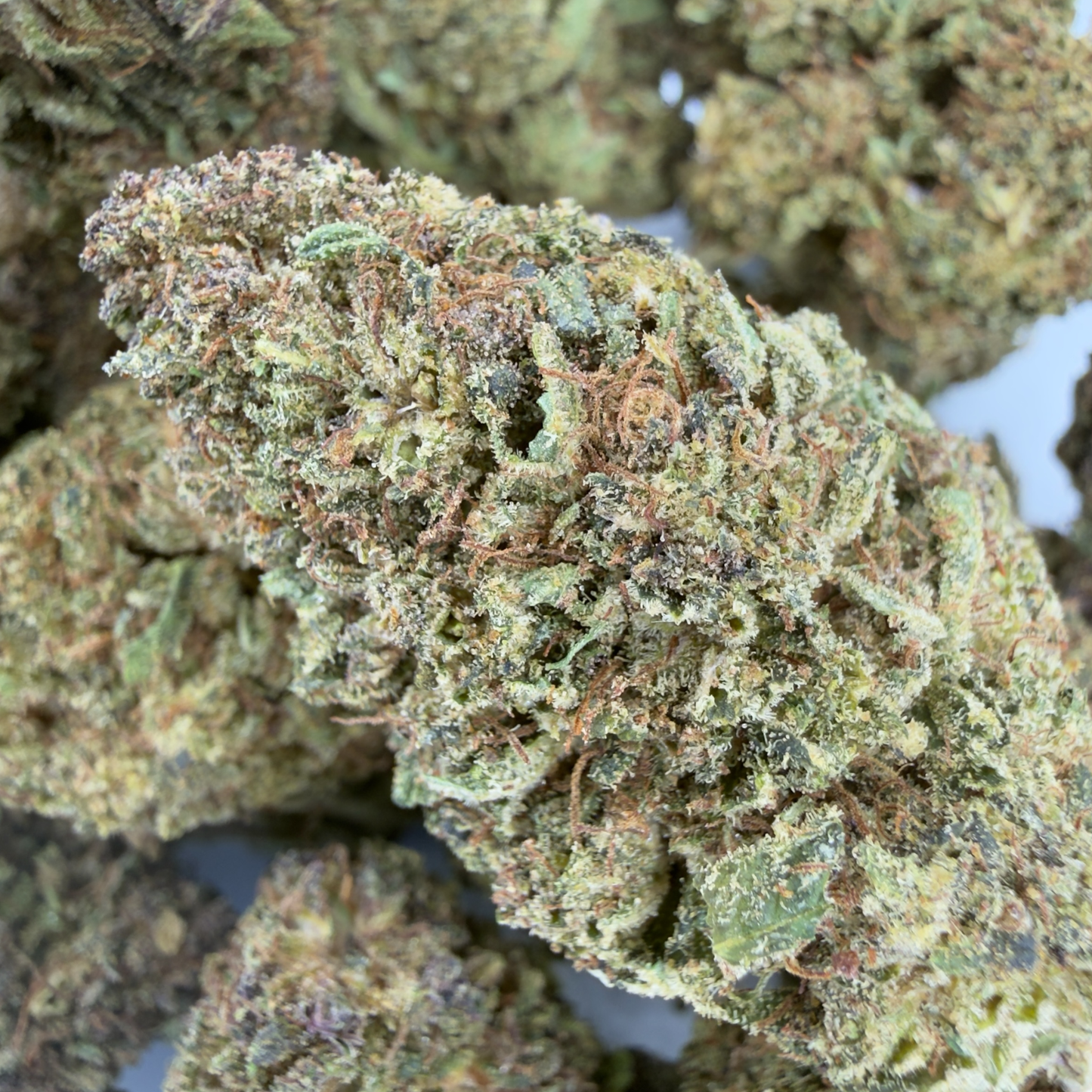 GELATO - FLEUR DE CBD BIO