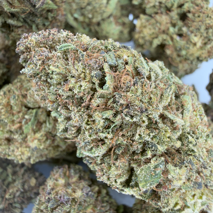 GELATO - FLEUR DE CBD BIO