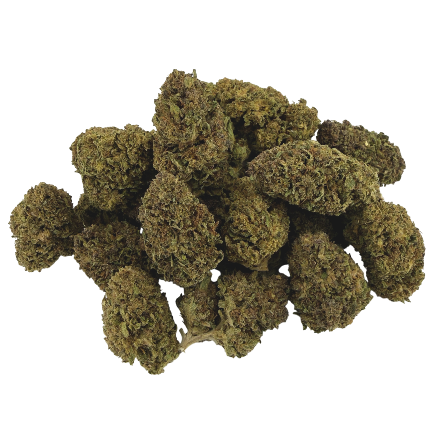 GELATO - FLEUR DE CBD BIO