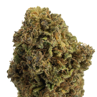 GELATO - FLEUR DE CBD BIO