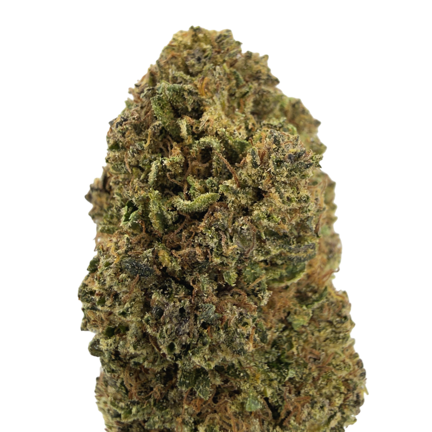 GELATO - FLEUR DE CBD BIO