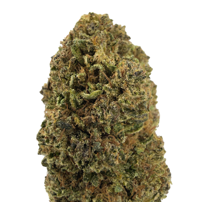 GELATO - FLEUR DE CBD BIO