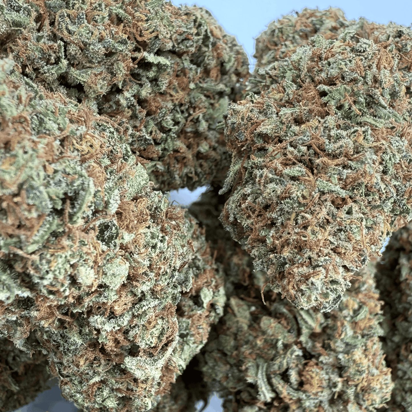 GODFATHER OG - FLEUR DE CBD BIO - LIGHT DEP