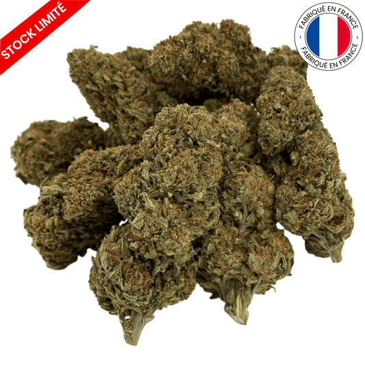 Godfather OG - Fleur de CBD - Light Dep -(Amour de Chanvre)