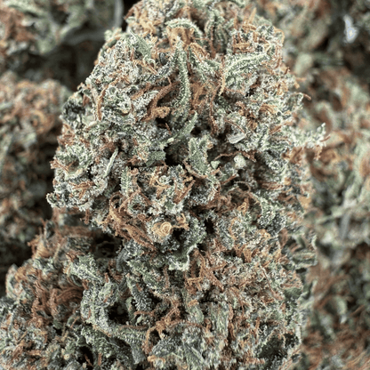 GODFATHER OG - FLEUR DE CBD BIO - LIGHT DEP