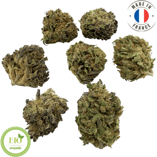 GOLDEN CHEESE - Petite fleur de CBD bio (Amour de Chanvre)