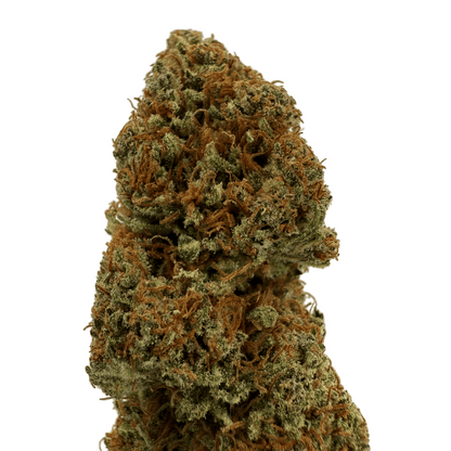 GOLDEN ORIENT - FLEUR DE CBD BIO - LIGHT DEP