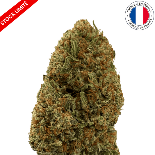 Golden Orient - Fleur de CBD - Light Dep -(Amour de Chanvre)