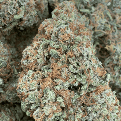 GOLDEN ORIENT - FLEUR DE CBD BIO - LIGHT DEP