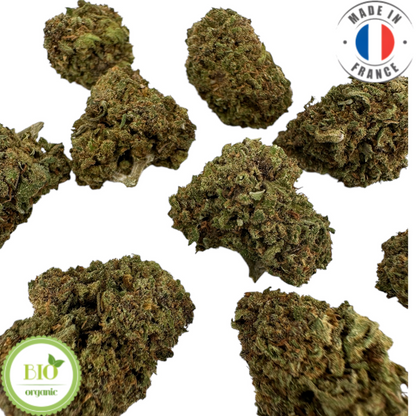 GORILLA GLUE - Petite fleur de CBD bio (Amour de Chanvre)