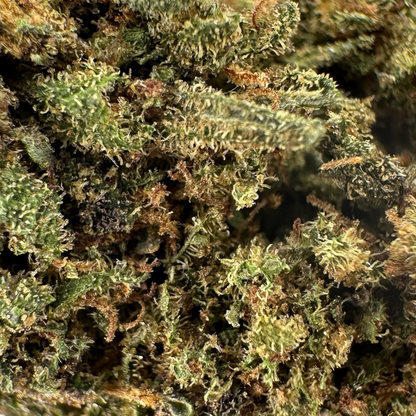 GORILLA GLUE – KLEINE BIO-CBD-BLUME