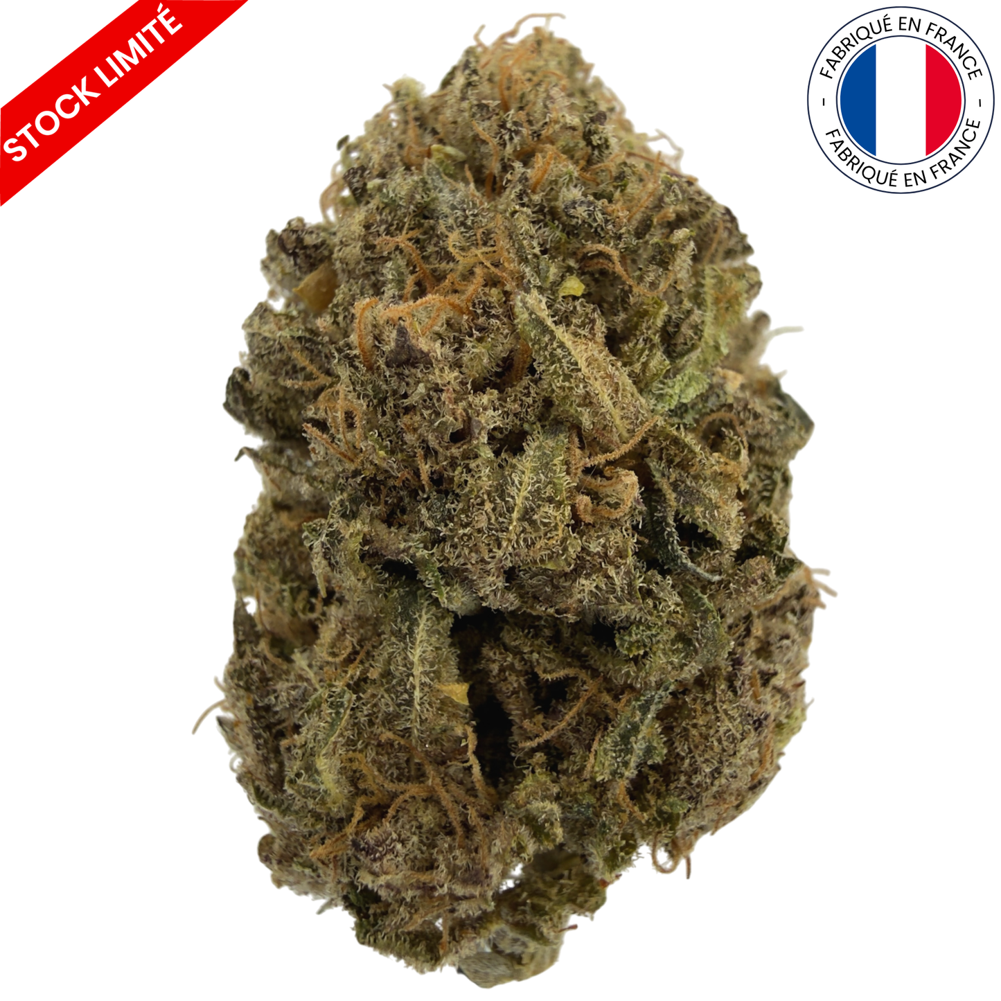 FLEUR DES CÉVENNES – FLEURS DE CBD - INDOOR