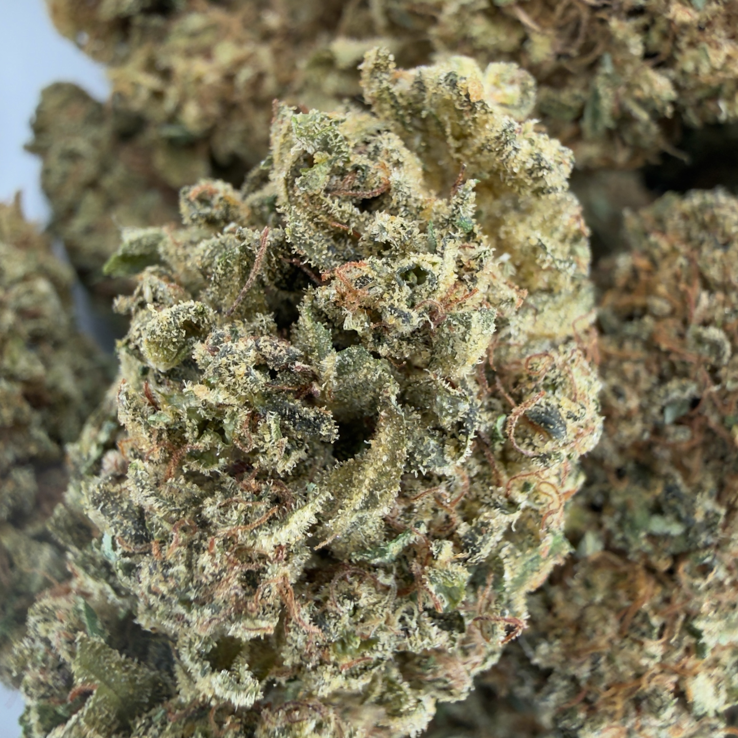 GREEN PEPPER - FLEUR DE CBD ORGANIQUE