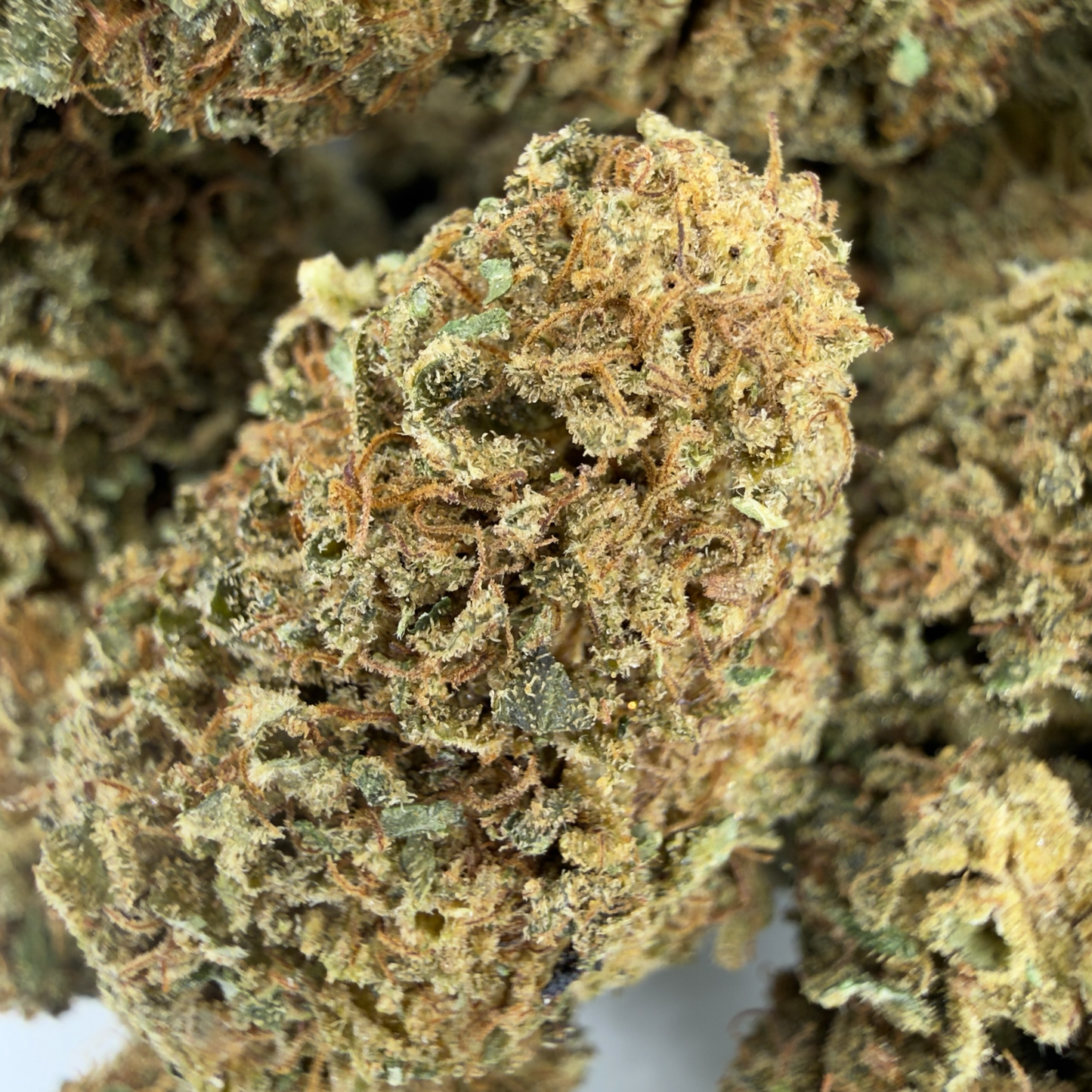 GREEN PEPPER - FLEUR DE CBD ORGANIQUE