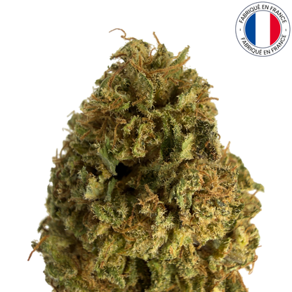 Hawaiian Haze - Fleur de CBD bio (Amour de Chanvre)