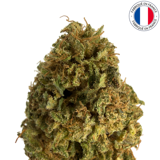Hawaiian Haze - Fleur de CBD bio (Amour de Chanvre)