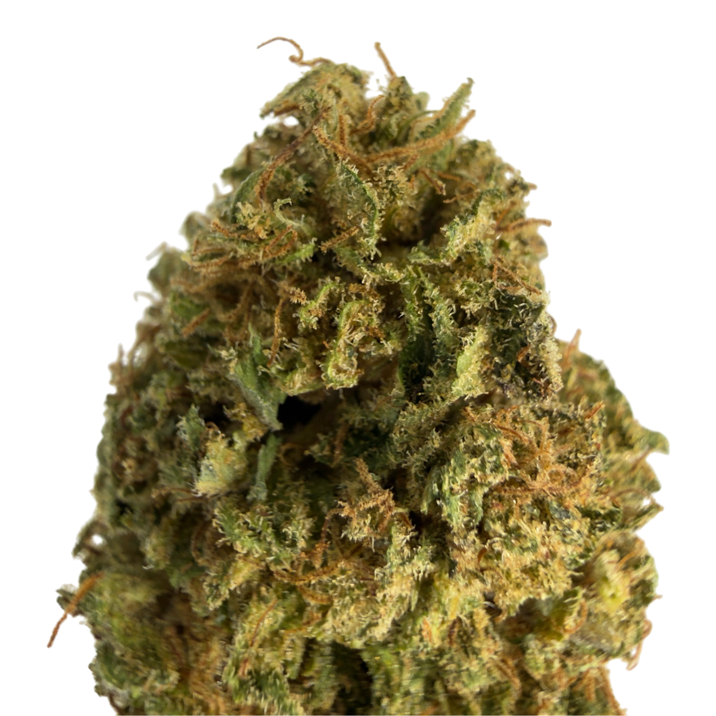 HAWAIIAN HAZE - FLEUR DE CBD BIO