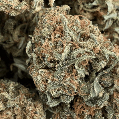 HELVETICA - FLEUR DE CBD BIO