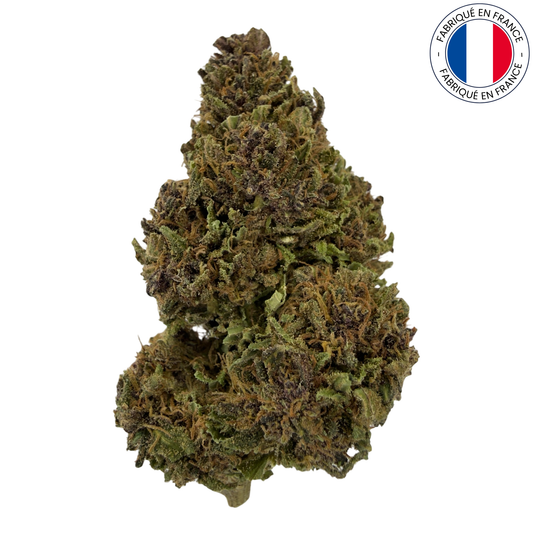 KARIJINI KUSH - FLEUR DE CBD BIO