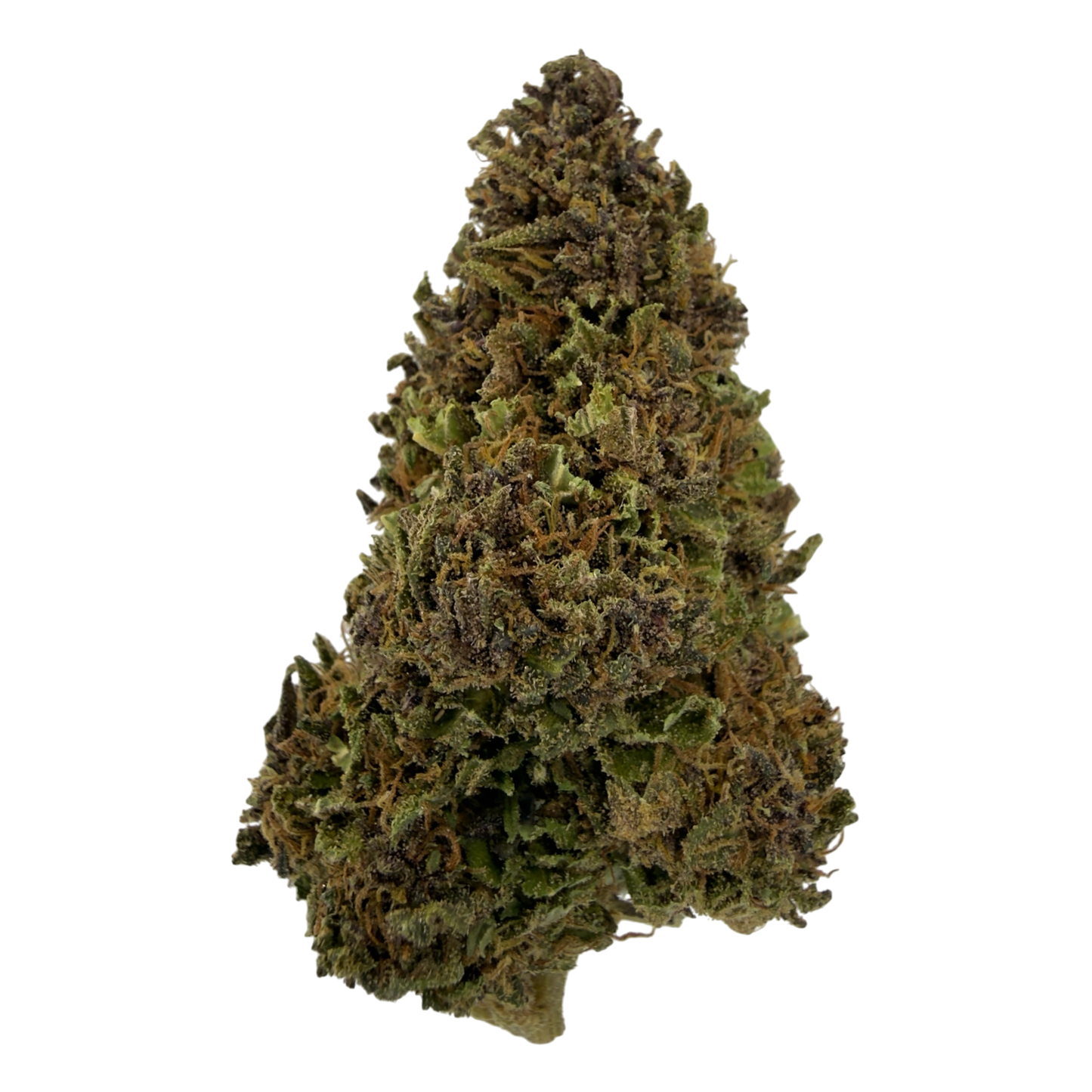 KARIJINI KUSH - FLEUR DE CBD BIO