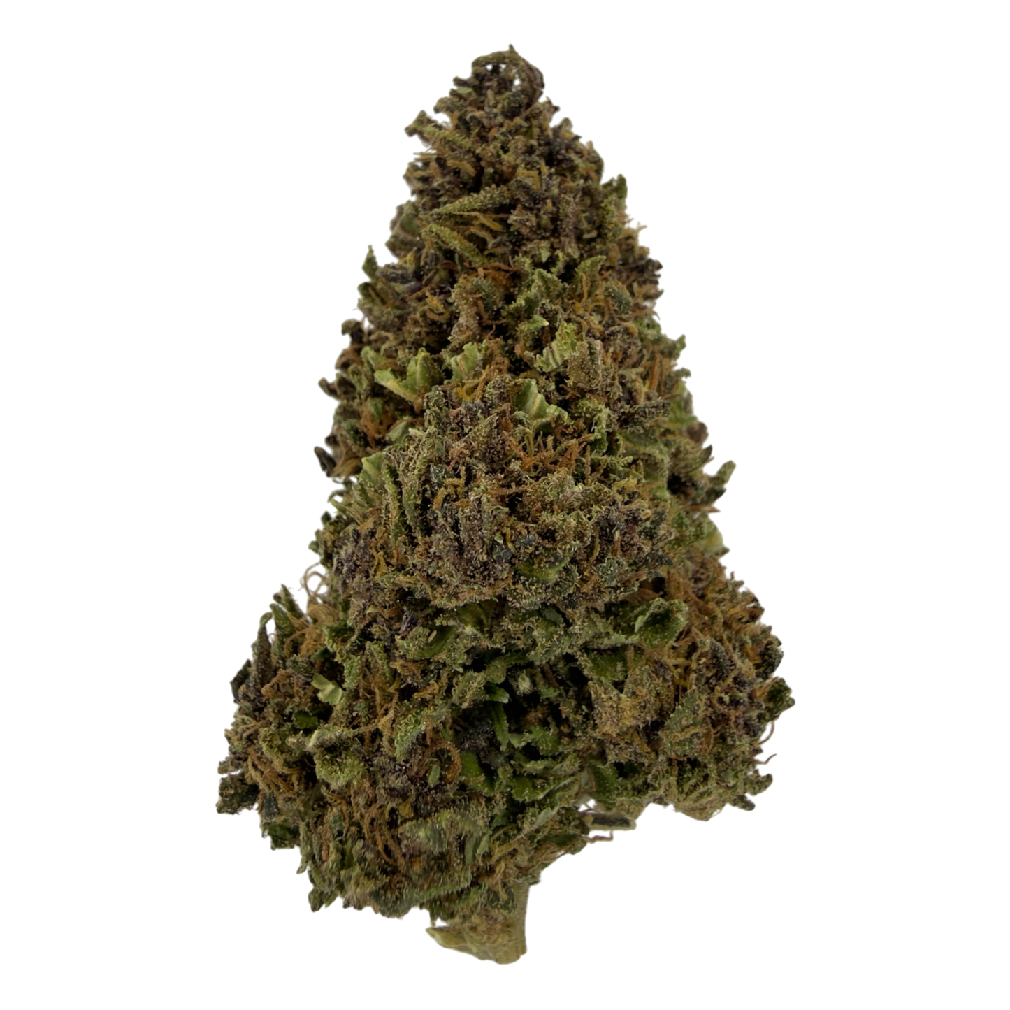 KARIJINI KUSH - FLEUR DE CBD BIO